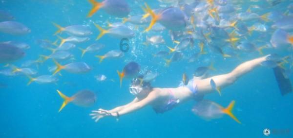 深海鱼救援